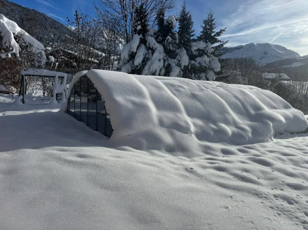 Igloo