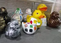 Canards