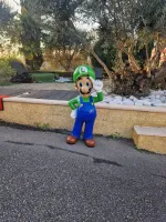 Luigi